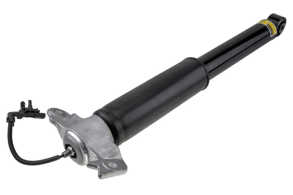 ACH019 NTY Shock absorber assy