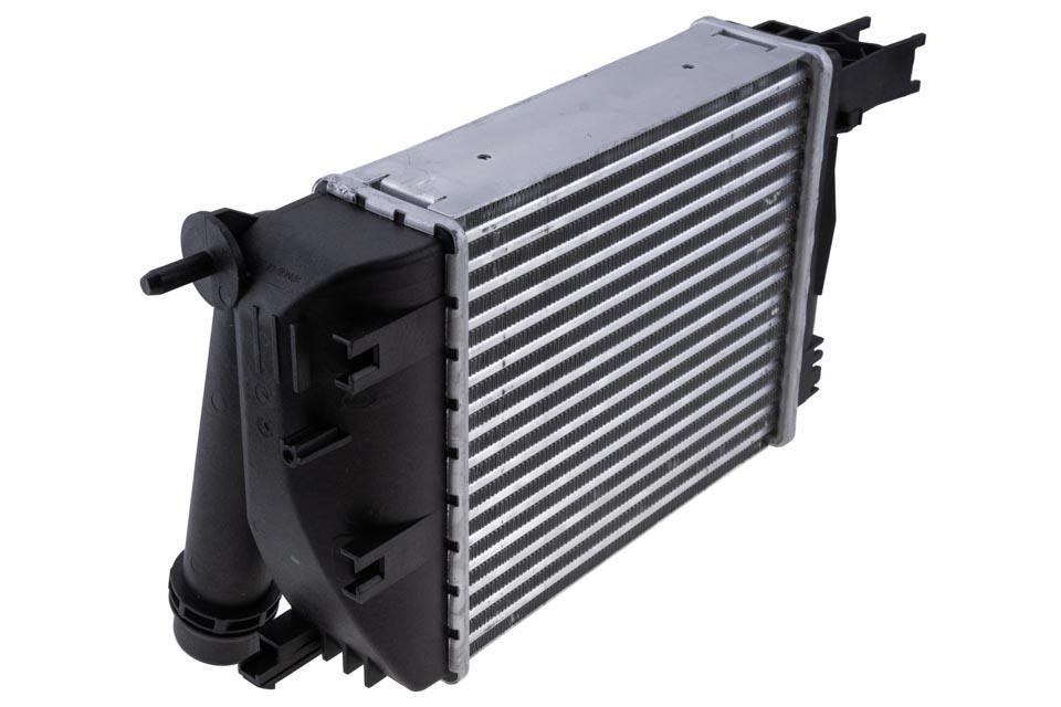 Buy NTY CCL-RE-018 at a low price in United Arab Emirates!