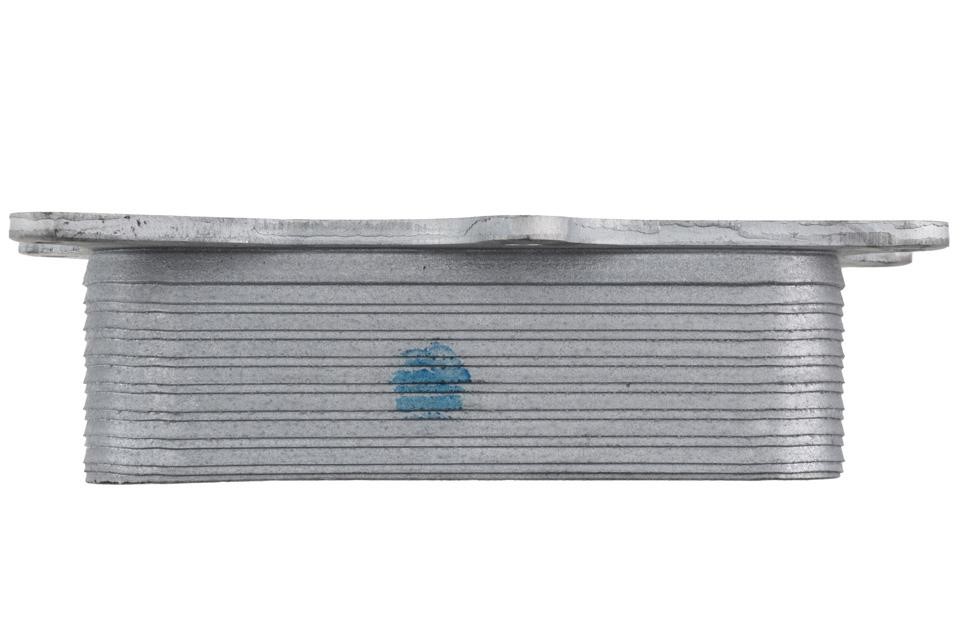 Buy NTY CCL-ME-048 at a low price in United Arab Emirates!