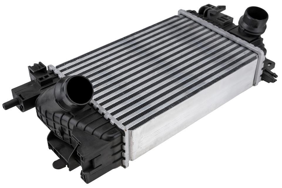 CNGPL007 NTY Intercooler, charger