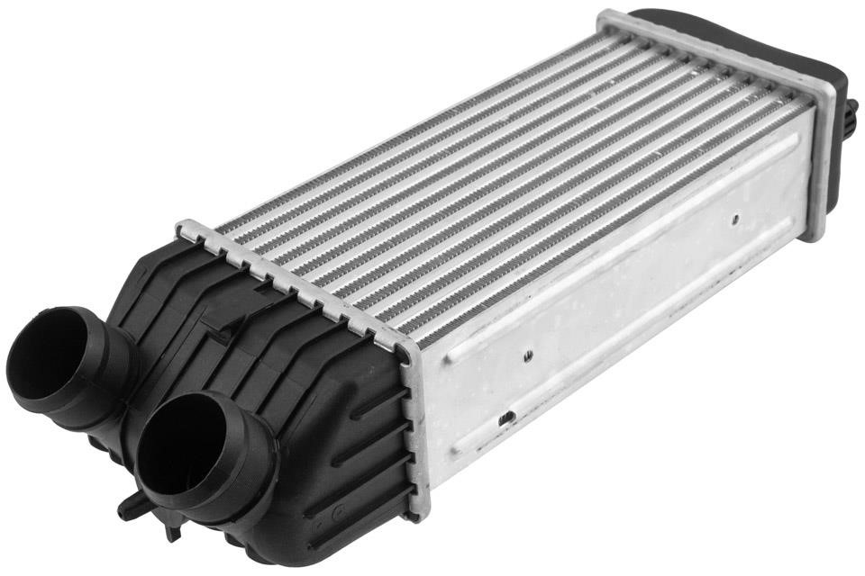 Turbocharger intercooler Citroen C2: CNGCT020 NTY Intercooler, charger