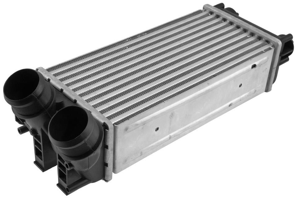 Intercooler Citroen C4: CNGCT021 NTY Intercooler, charger