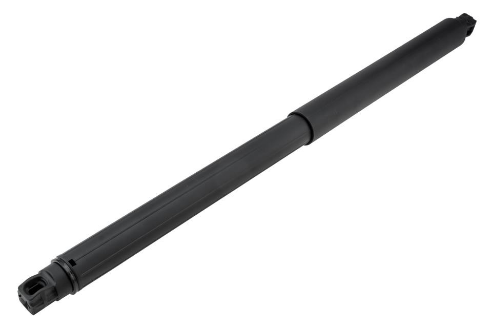 AECH060 NTY Tailgate strut