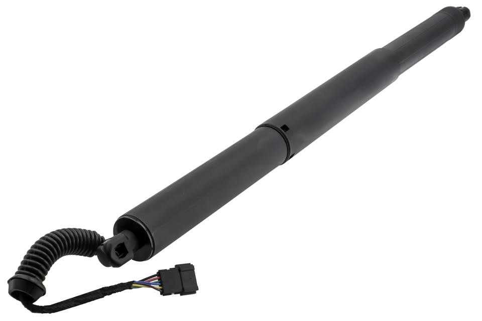 AEBM119 NTY Tailgate strut