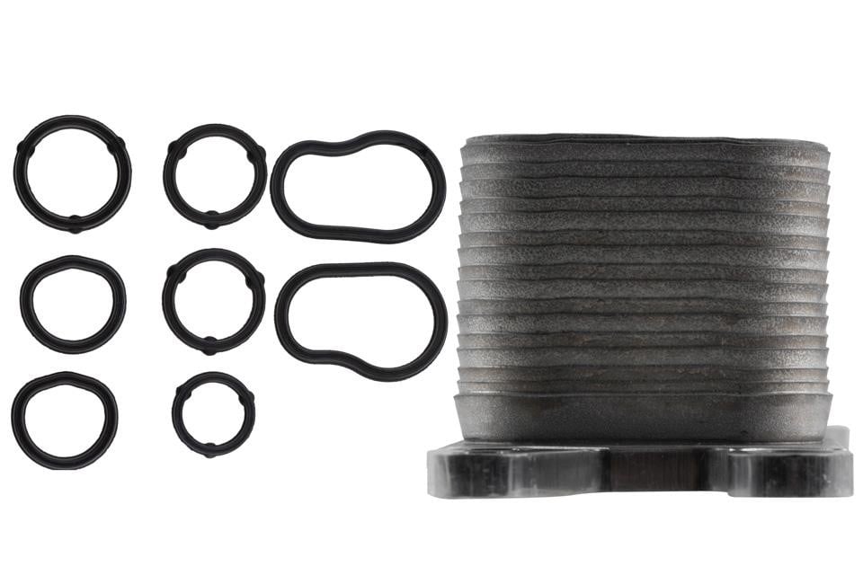Buy NTY CCL-CH-019 at a low price in United Arab Emirates!