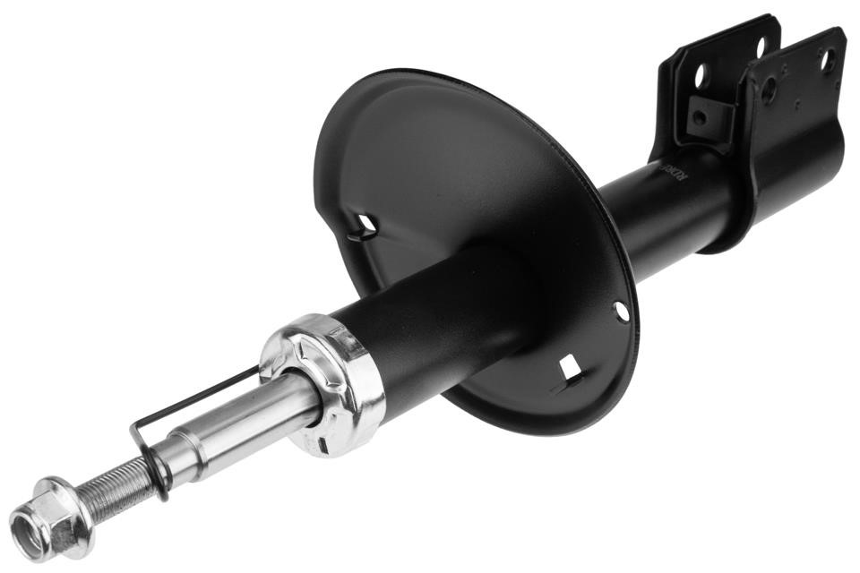 Shock absorbers Renault Sandero / Stepway: ARE000 NTY Shock absorber assy