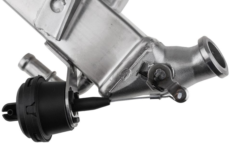 Buy NTY EGR-NS-009 at a low price in United Arab Emirates!