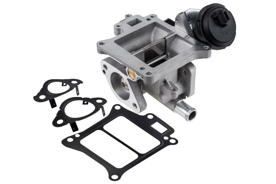 Buy NTY EGR-VV-010 at a low price in United Arab Emirates!