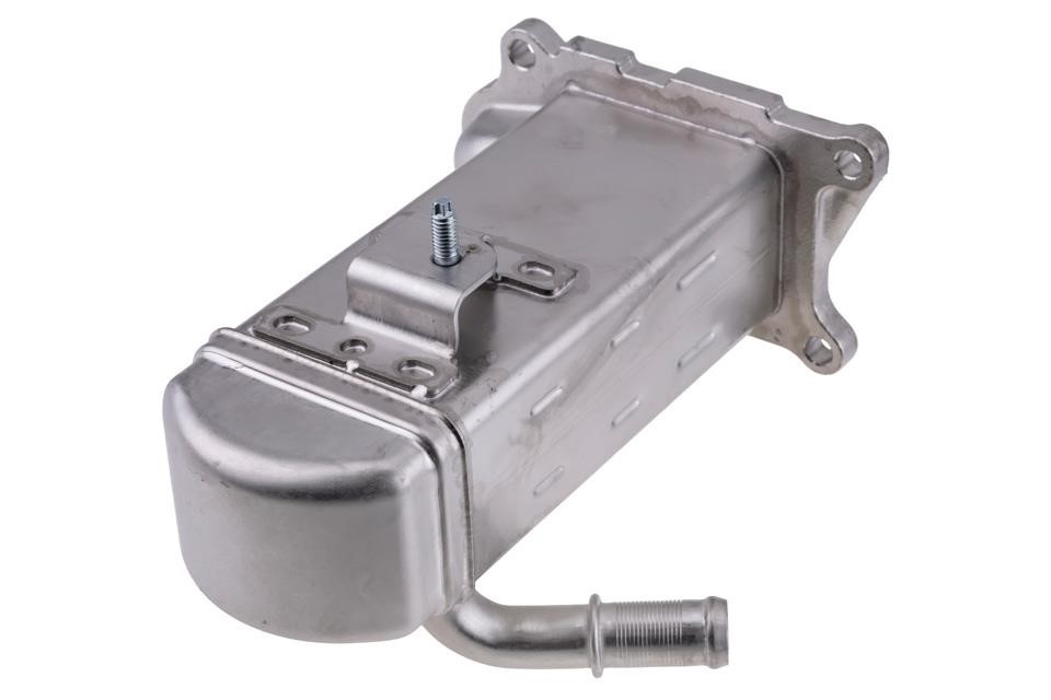 Buy NTY EGR-FR-009A at a low price in United Arab Emirates!