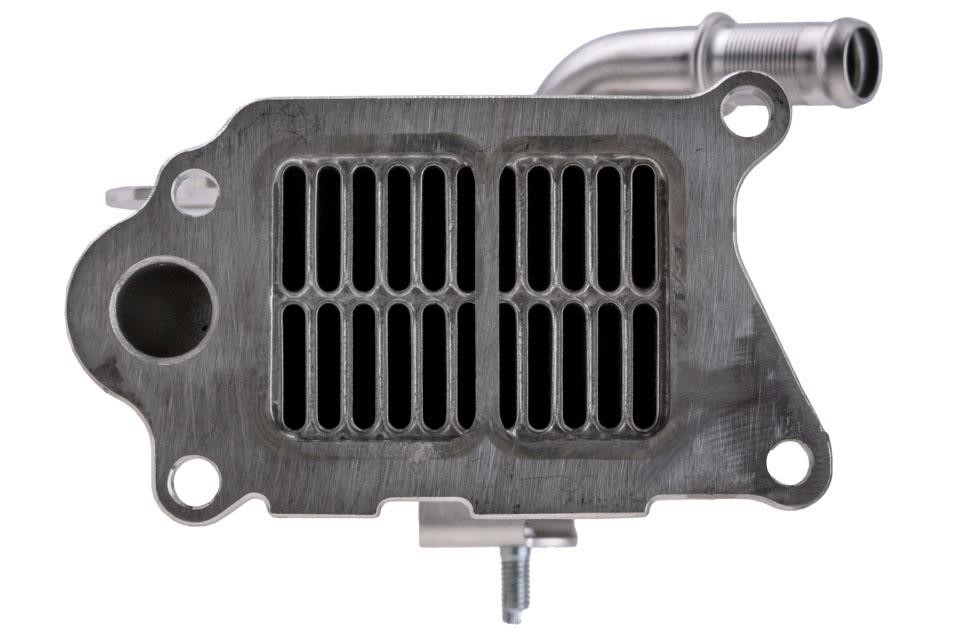 Buy NTY EGR-FR-009A at a low price in United Arab Emirates!