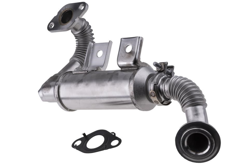 Buy NTY EGR-FR-016A at a low price in United Arab Emirates!
