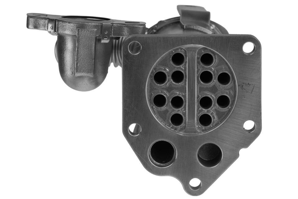 Buy NTY EGR-RE-026 at a low price in United Arab Emirates!