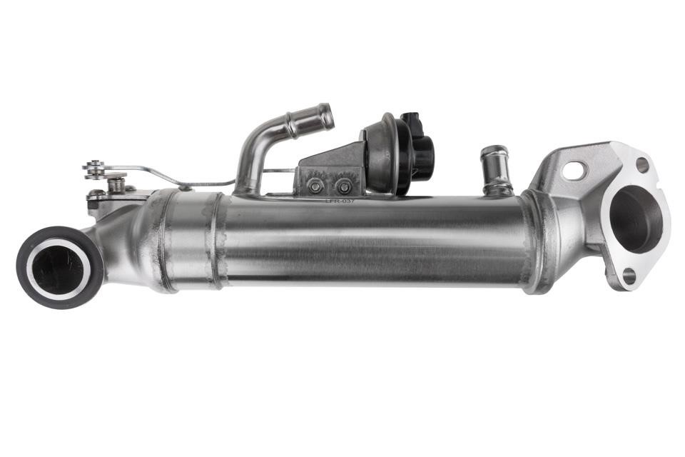 Buy NTY EGR-FR-037 at a low price in United Arab Emirates!