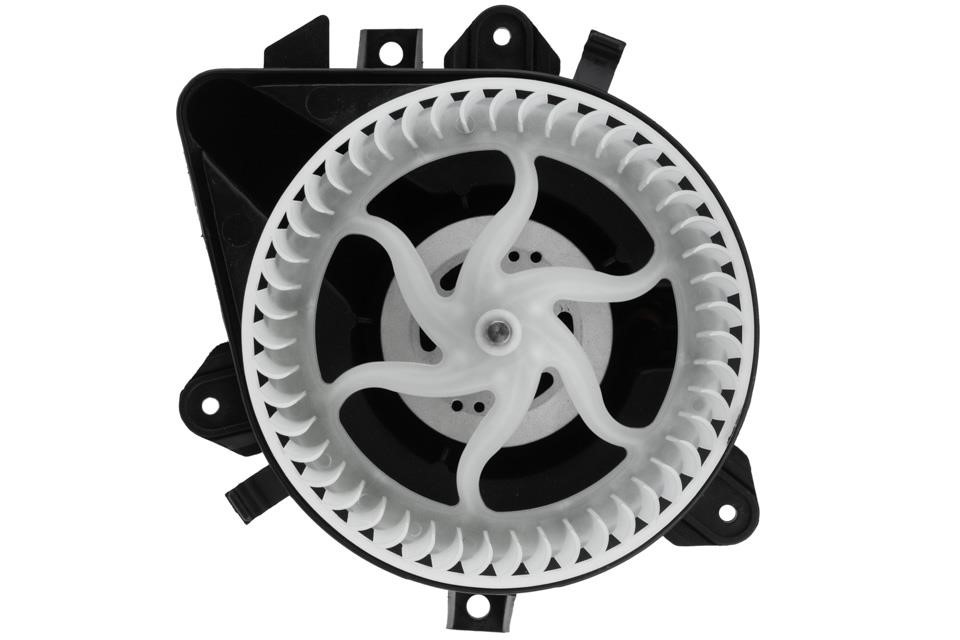 Buy NTY EWN-FT-009 at a low price in United Arab Emirates!