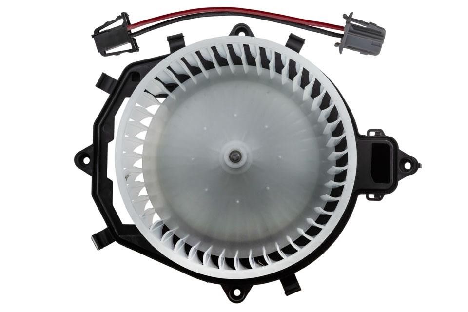 Buy NTY EWN-CT-006 at a low price in United Arab Emirates!