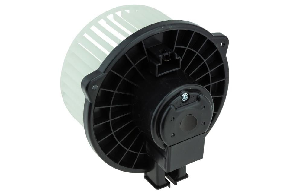 Buy NTY EWN-MS-005 at a low price in United Arab Emirates!