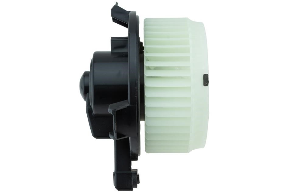 Buy NTY EWN-TY-010 at a low price in United Arab Emirates!