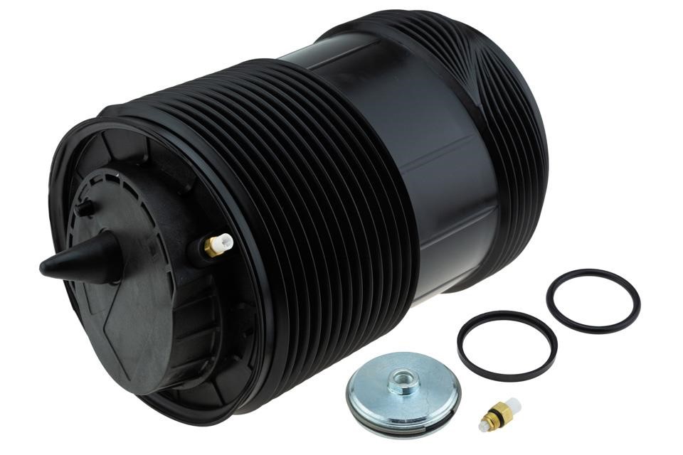Air suspension Audi: EZCAU189 NTY Air Spring, suspension