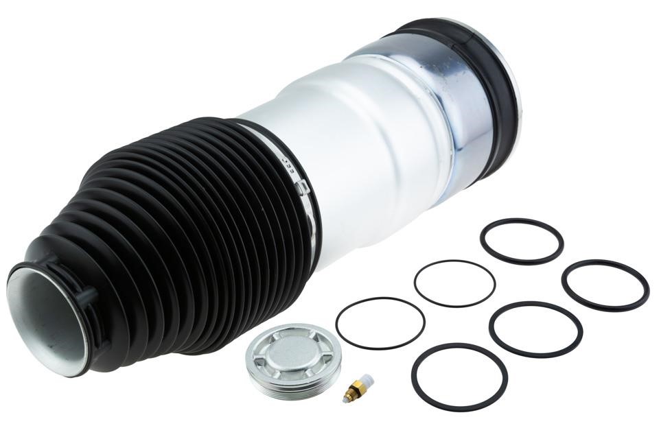 Air suspension Tesla: EZCCH065 NTY Air Spring, suspension
