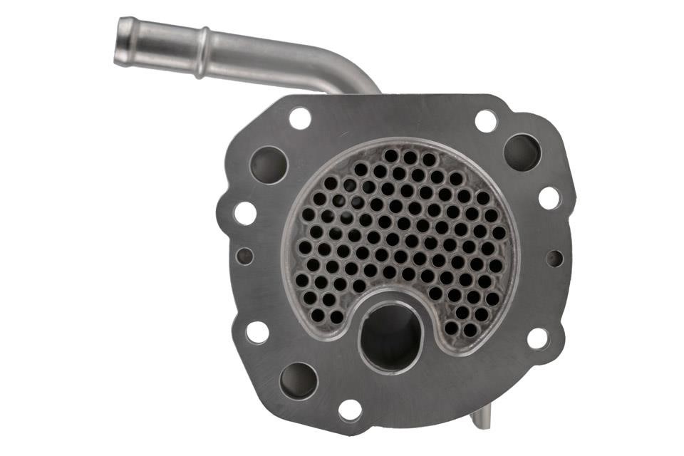 Buy NTY EGR-FR-036 at a low price in United Arab Emirates!