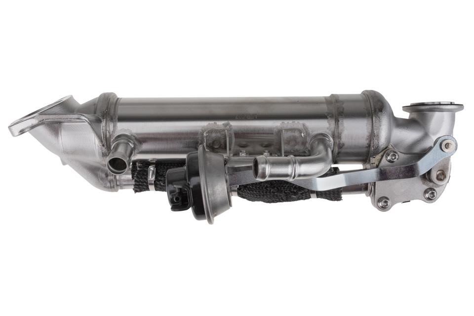 Buy NTY EGR-FR-037 at a low price in United Arab Emirates!