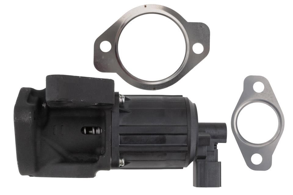EGR Valve NTY EGR-MZ-003