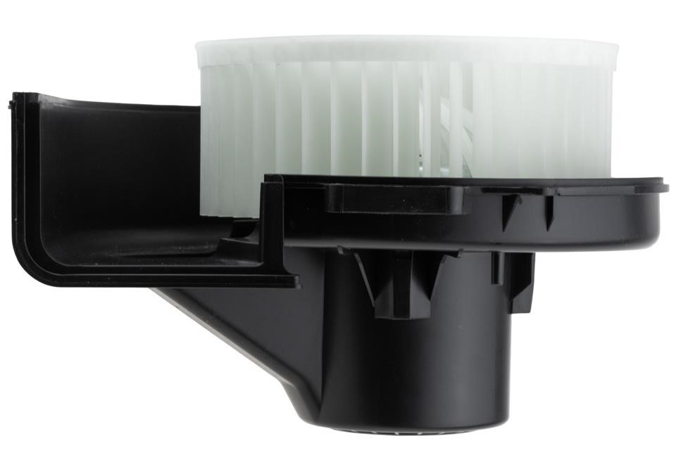 Buy NTY EWN-AU-011 at a low price in United Arab Emirates!
