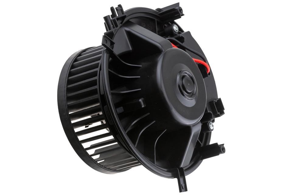 Buy NTY EWN-AU-012 at a low price in United Arab Emirates!