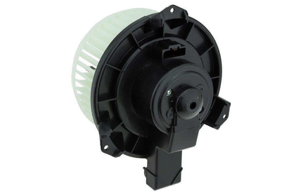 Buy NTY EWN-TY-010 at a low price in United Arab Emirates!