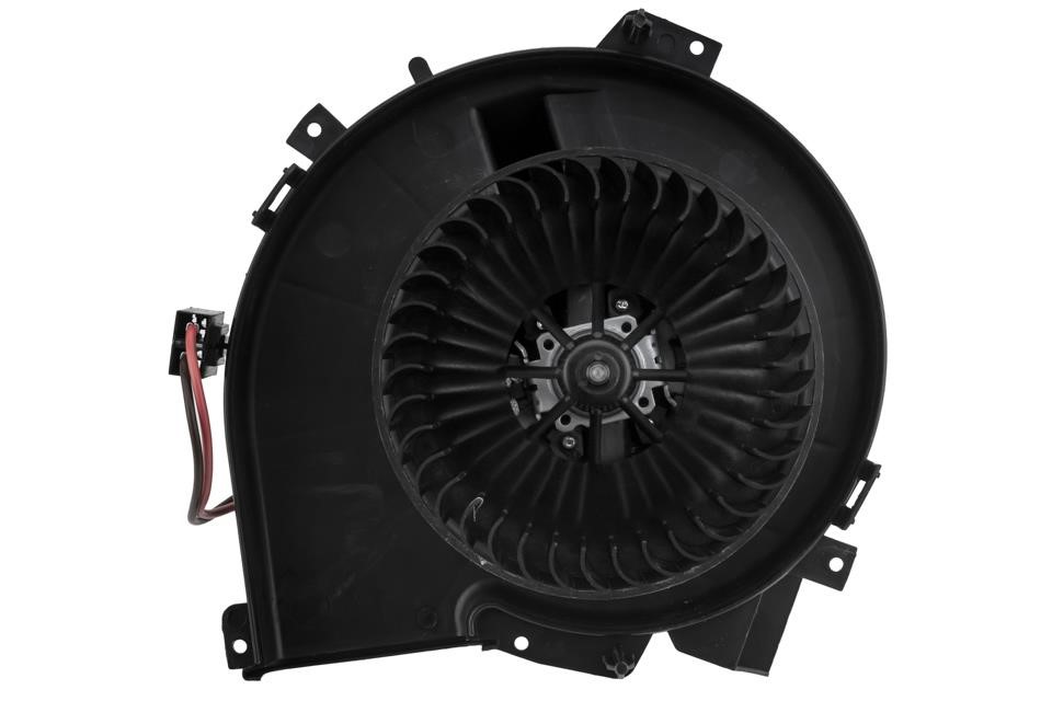 Buy NTY EWN-PL-007 at a low price in United Arab Emirates!