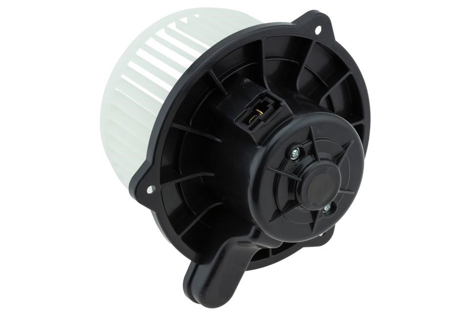 Buy NTY EWN-KA-005 at a low price in United Arab Emirates!