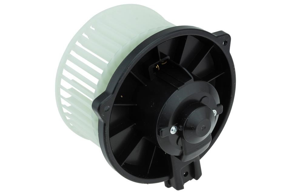 Buy NTY EWN-TY-006 at a low price in United Arab Emirates!