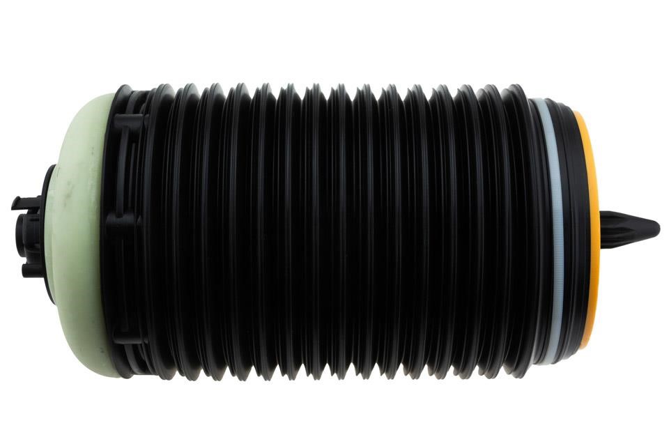 Air Suspension Strut NTY EZC-AU-187