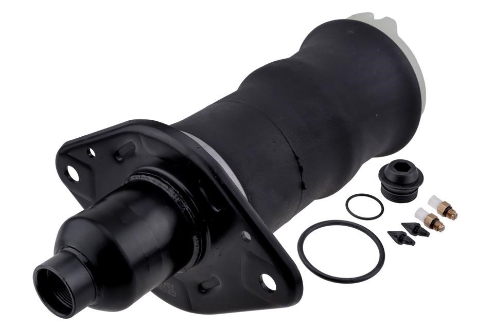 Air suspension Audi: EZCAU235 NTY Air Spring, suspension