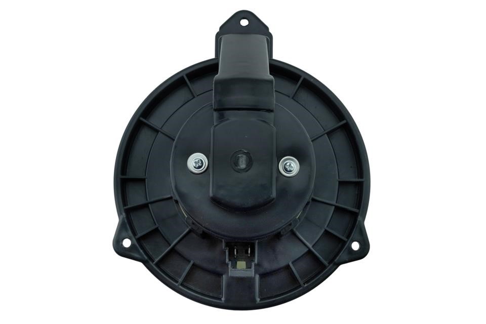 Buy NTY EWN-CH-004 at a low price in United Arab Emirates!