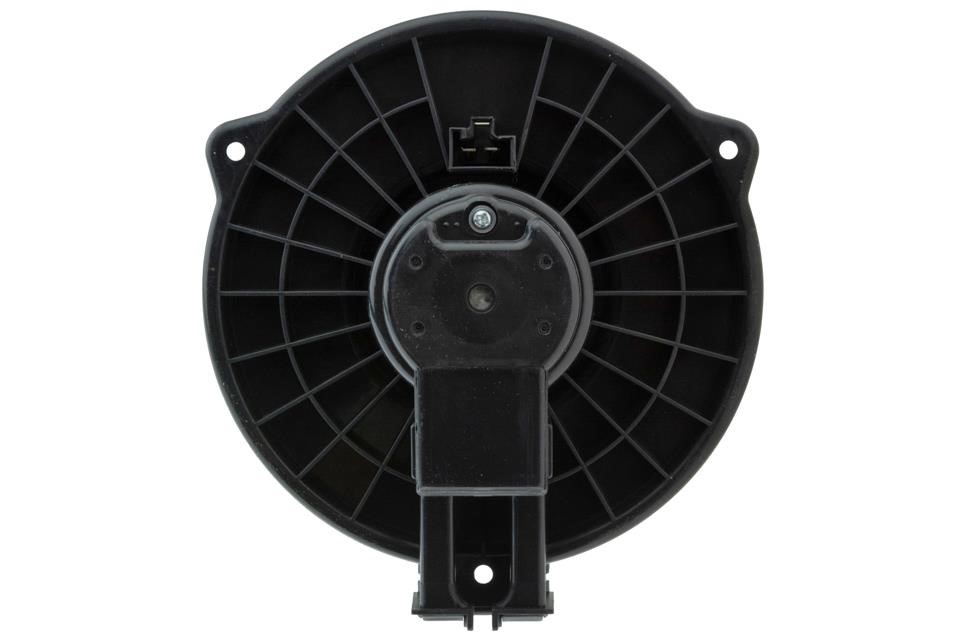 Buy NTY EWN-MZ-005 at a low price in United Arab Emirates!