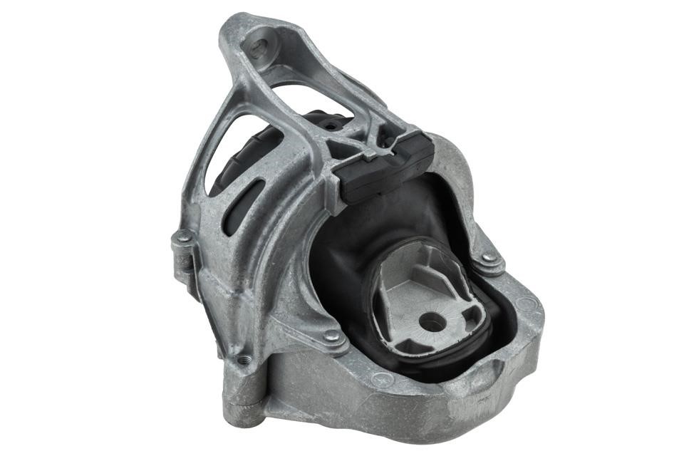 ZPSAU020 NTY Engine Mounting