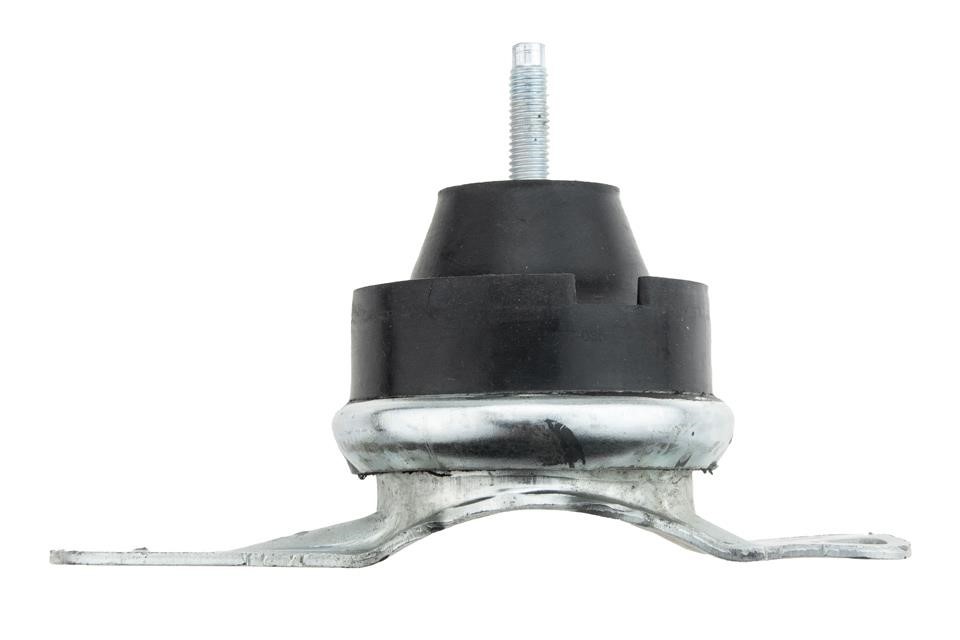 Engine Mounting NTY ZPS-FT-035