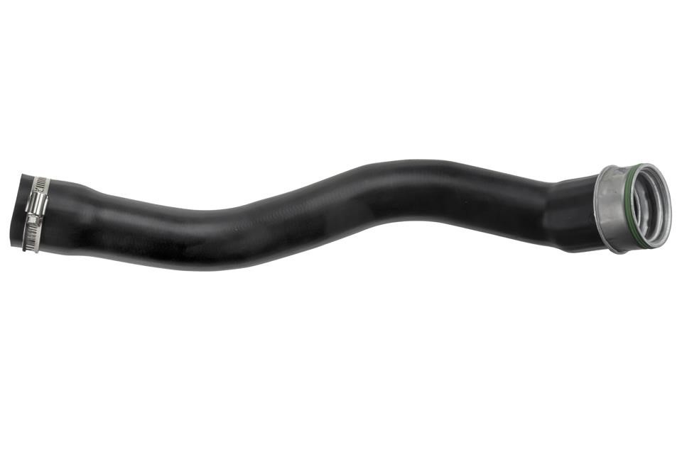 Buy NTY GPP-CH-003 at a low price in United Arab Emirates!