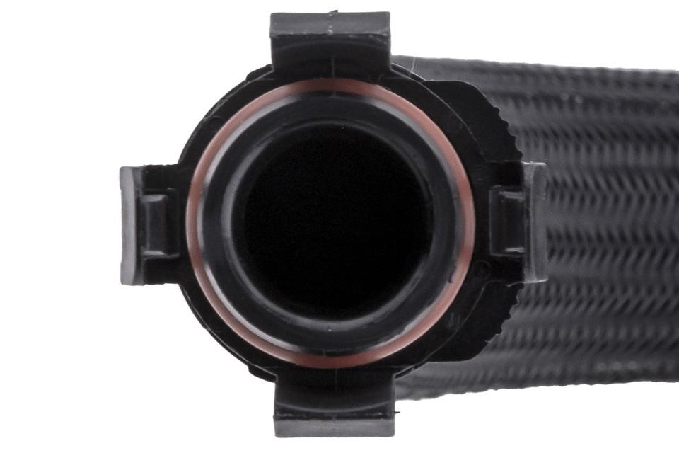 Buy NTY GPP-BM-145 at a low price in United Arab Emirates!