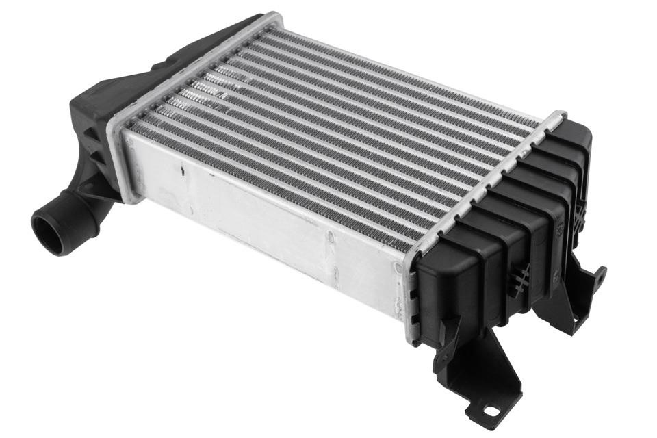Buy NTY CNG-PL-020 at a low price in United Arab Emirates!