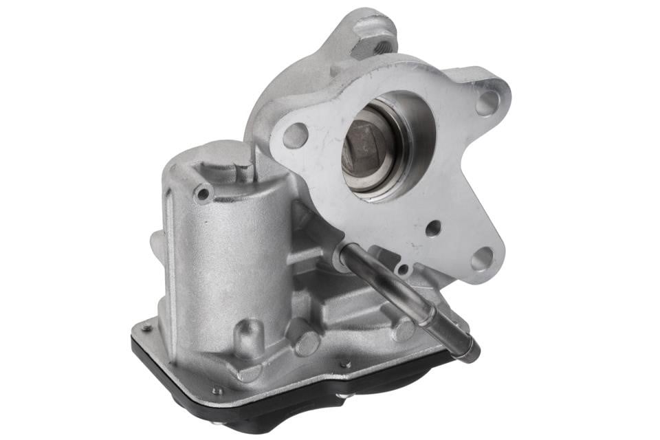 Exhaust system Renault Alaskan Pickup: EGRRE025 NTY EGR Valve