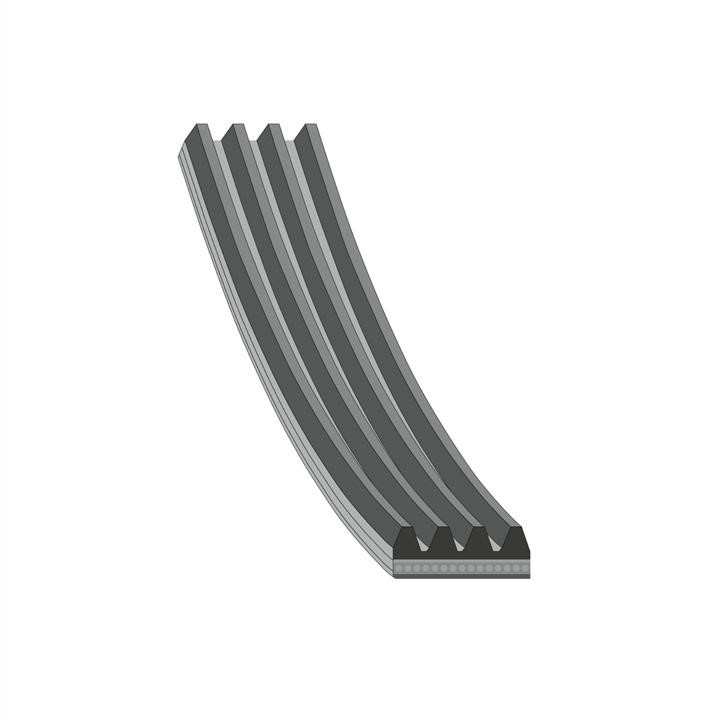 SWAG 33 11 1013 Poly-V belt 33111013 33111013 SWAG Poly-V belt