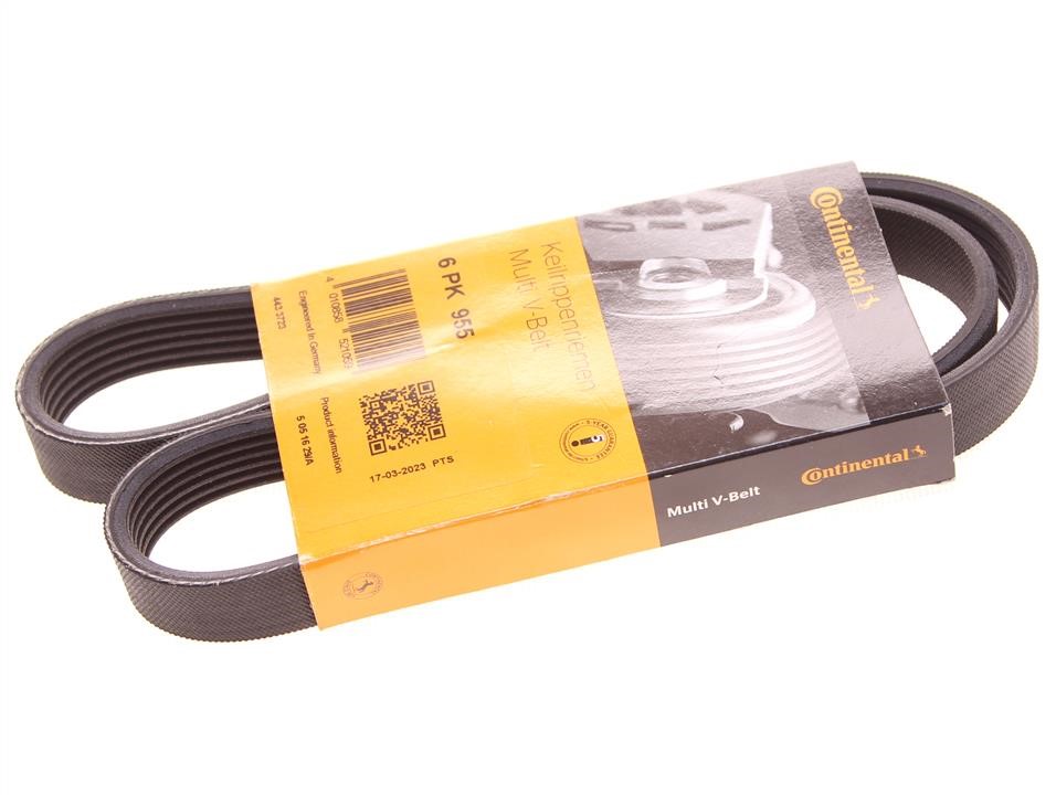 Buy Contitech 6PK955 – good price at EXIST.AE!