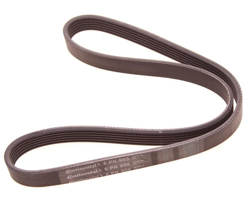 Drive belt Mazda MX-5: 6PK955 Contitech Poly-V belt 6PK955