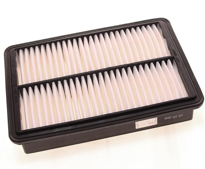 Car air filter Hyundai H-1: 281134H000 Hyundai/Kia Air filter