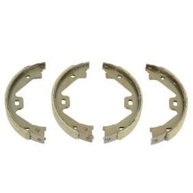 23105082 Abakus Brake Shoe Set, parking brake