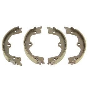 23105089 Abakus Brake Shoe Set, parking brake