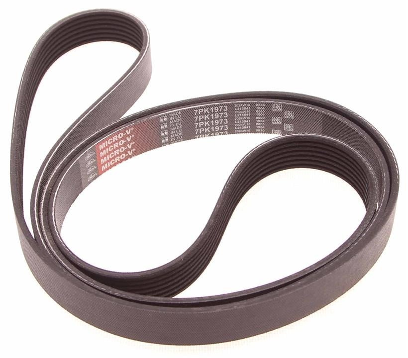 Drive belt Dodge: 7PK1973 Gates Poly-V belt 7PK1973