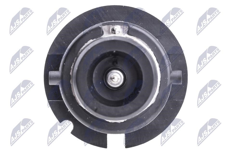 Buy NTY EZ-PTZLLD2S at a low price in United Arab Emirates!
